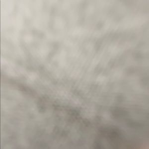 Meet your Posher, Dante